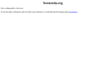 Tablet Screenshot of bornstein.org